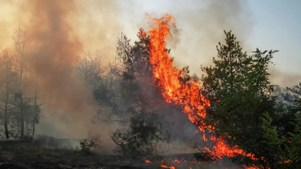 Фото: РИА Новости/Кирилл Брага