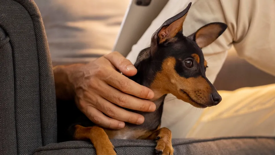 Фото: freepik.com