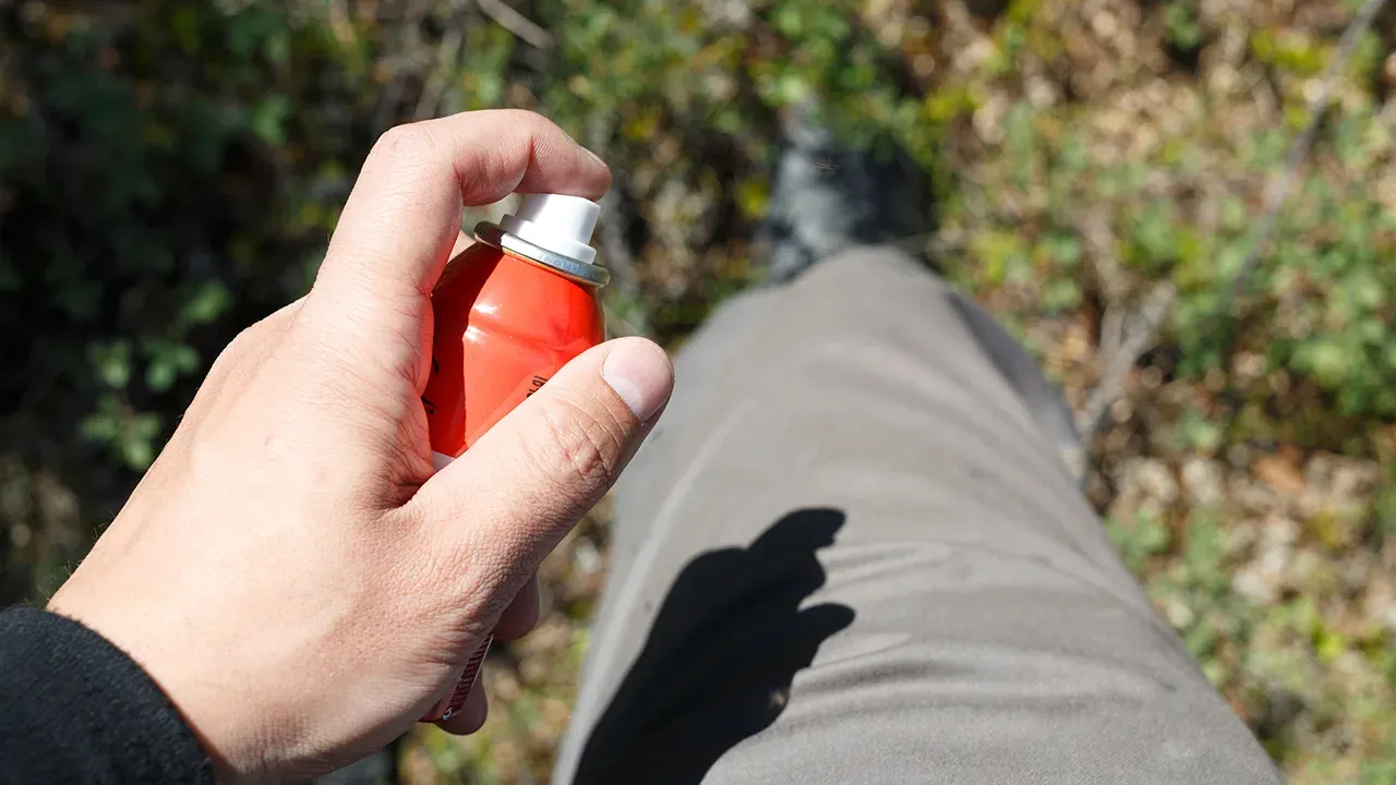 istockphoto.com/avtk