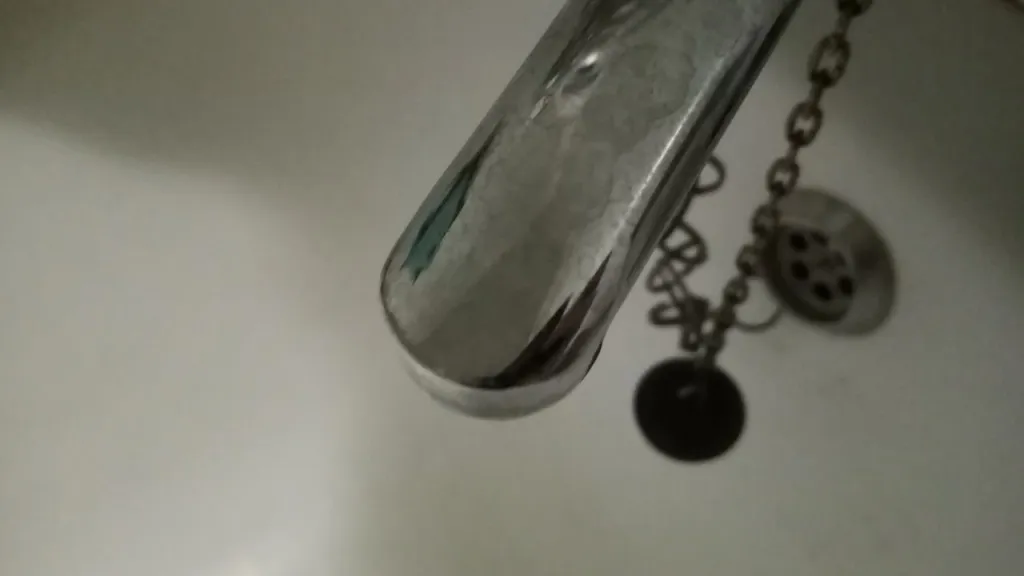 Фото: REGIONS/Василий Тремасов