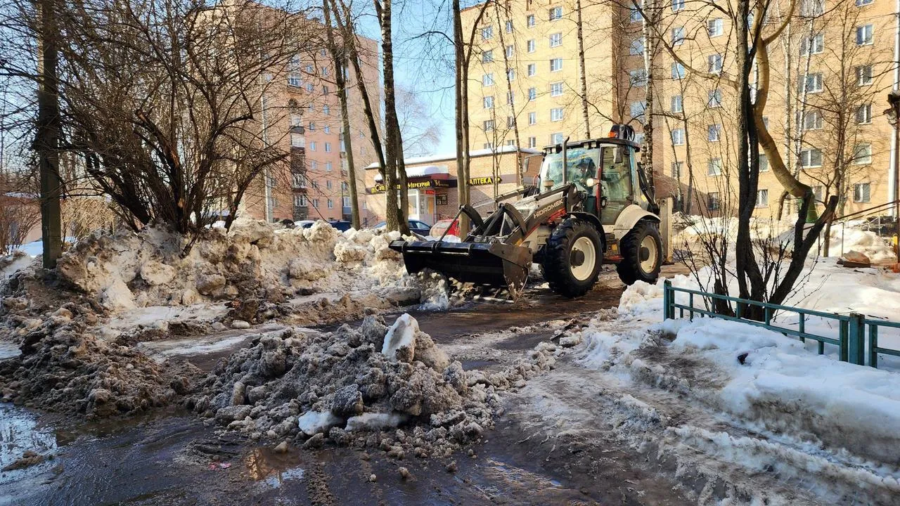 МедиаБанк Подмосковья/Валерия Исаева