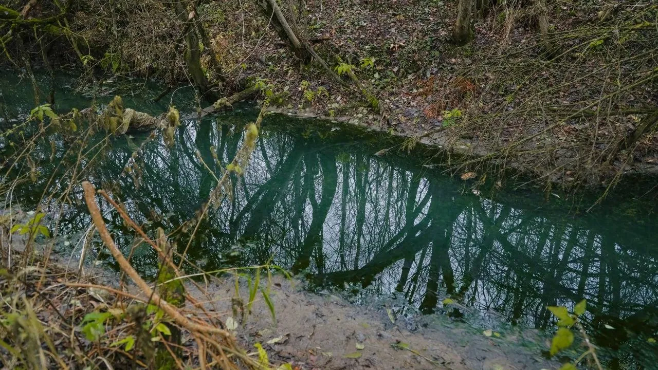 Пресс-служба администрации Сергиево-Посадского городского округа