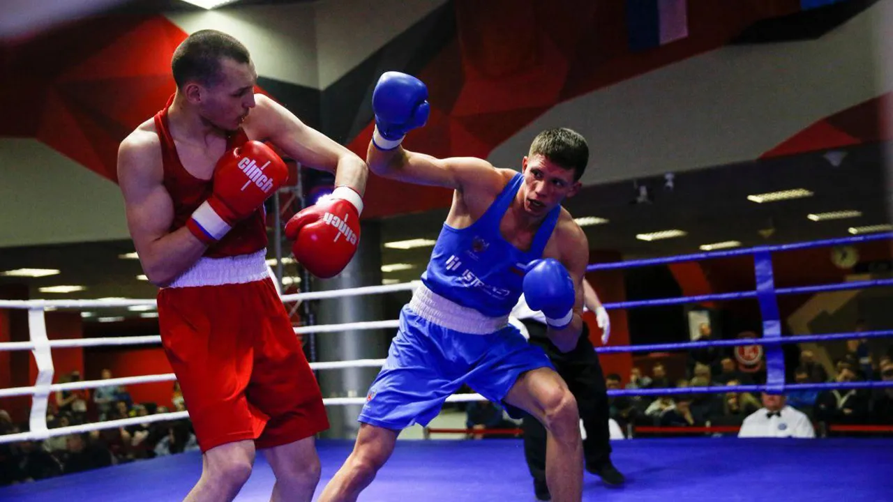 Фото: ГБУ ДО МО «СШОР по боксу»