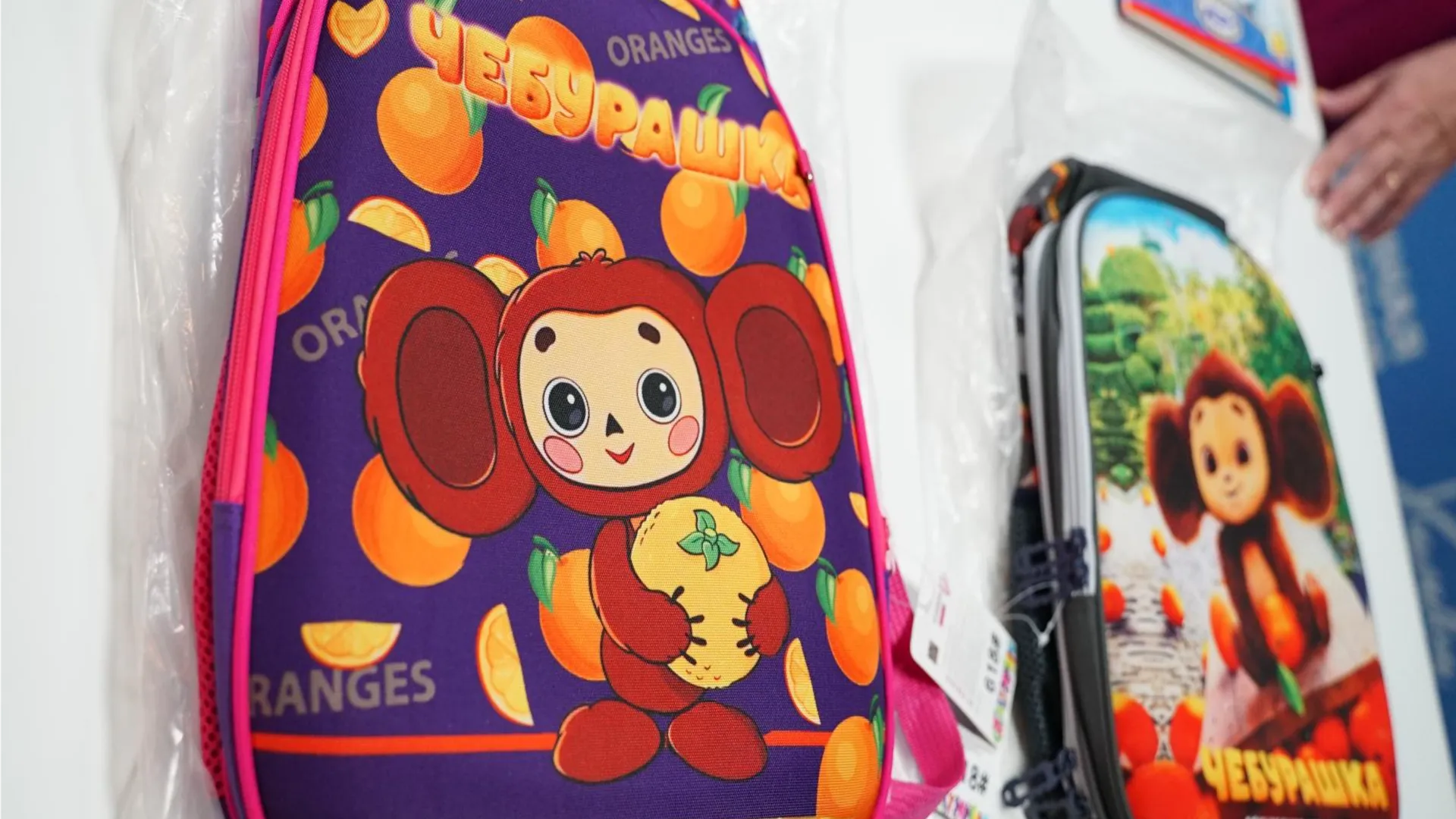 Фото: пресс-служба администрации г.о. Химки