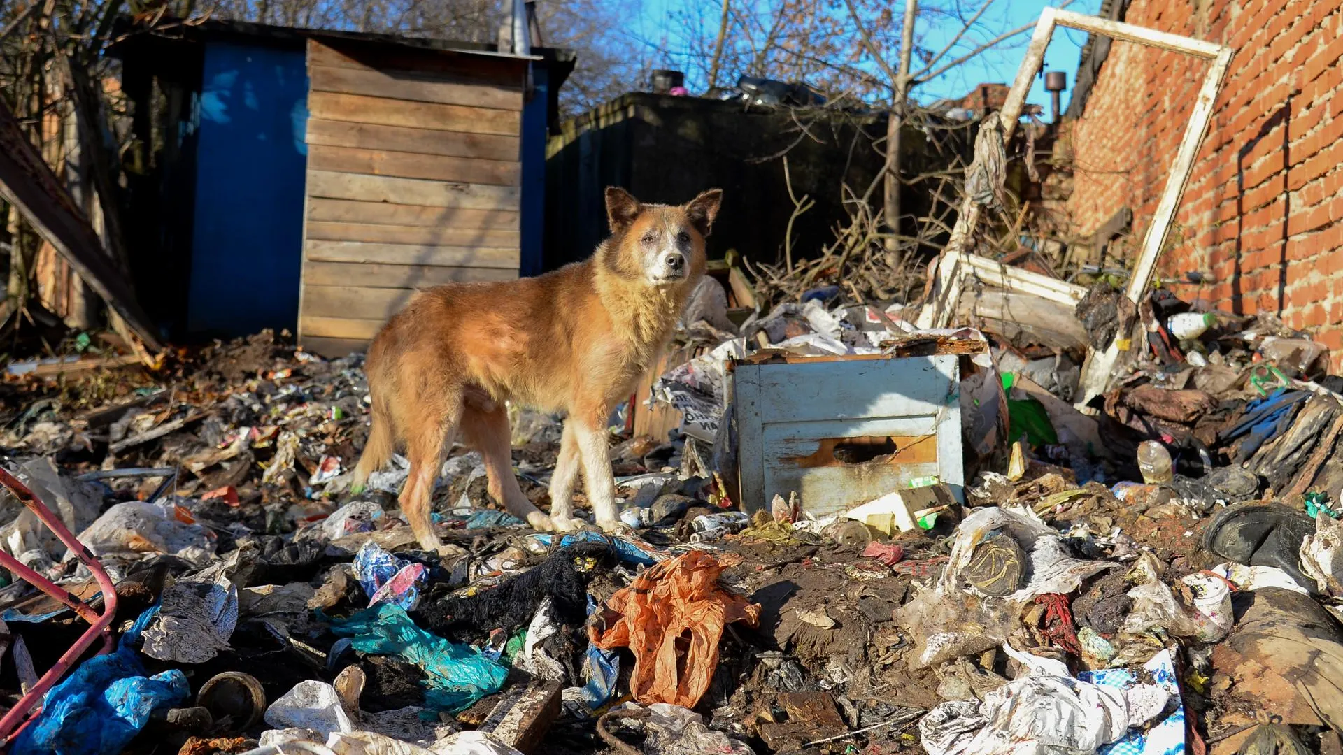 Фото: Иван Водопьянов
