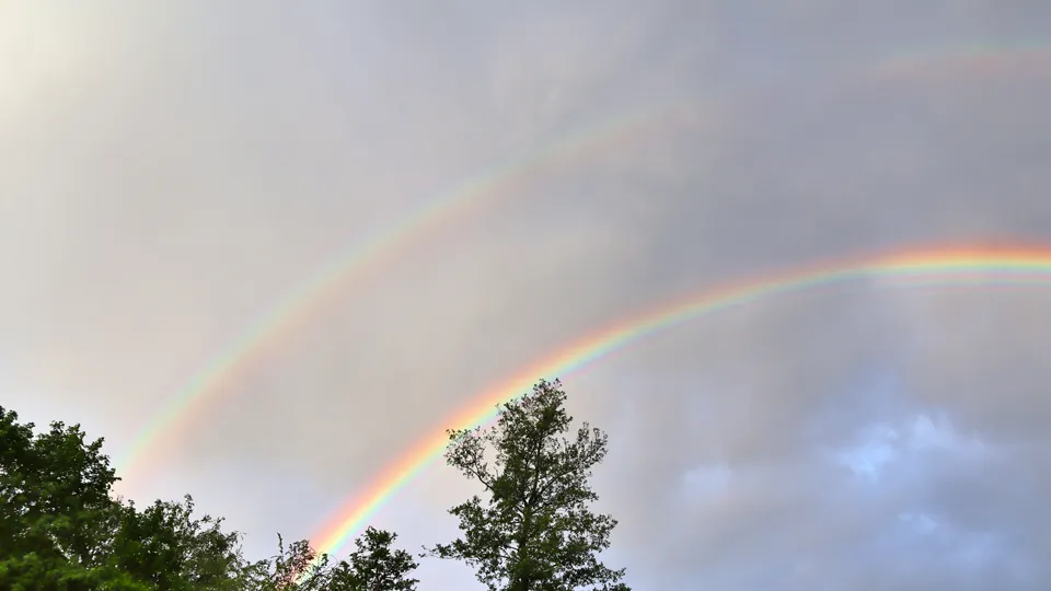 Фото: istockphoto.com