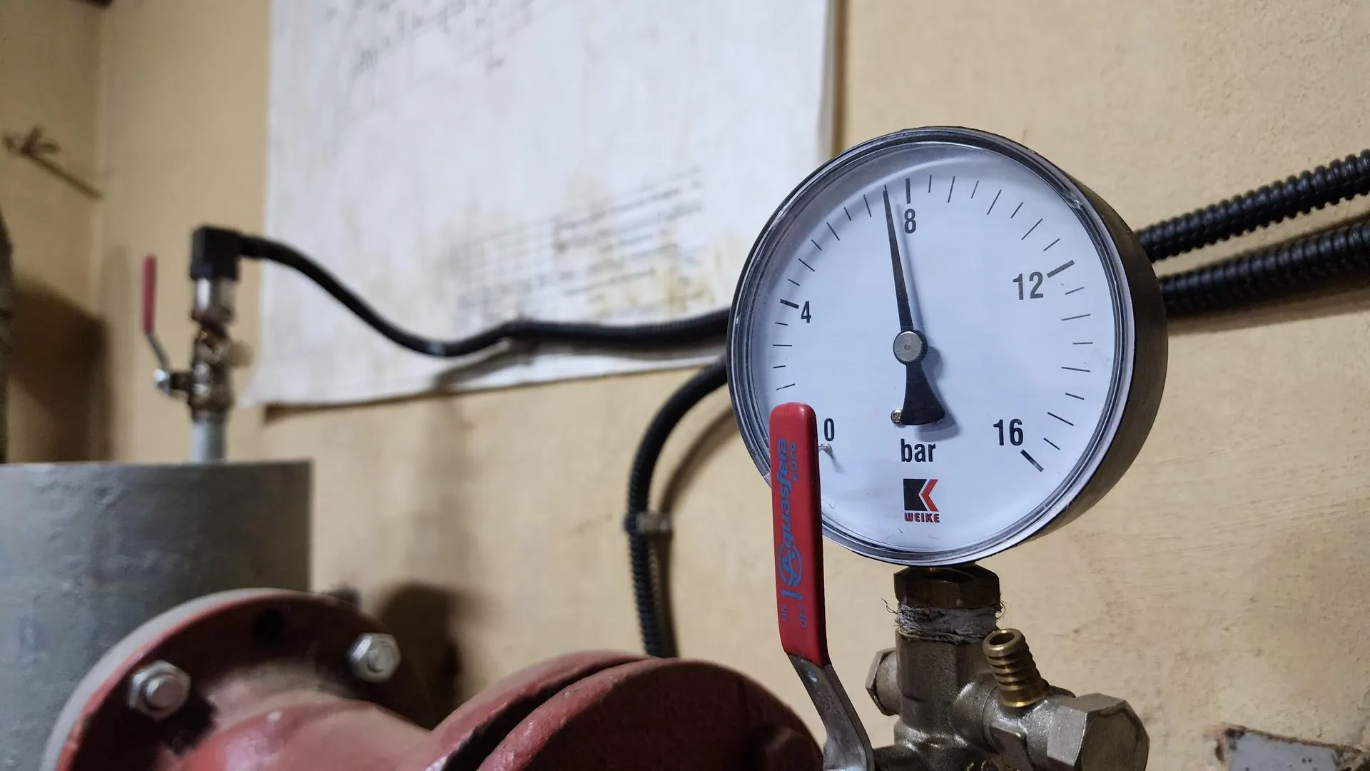 REGIONS/Евгений Рой