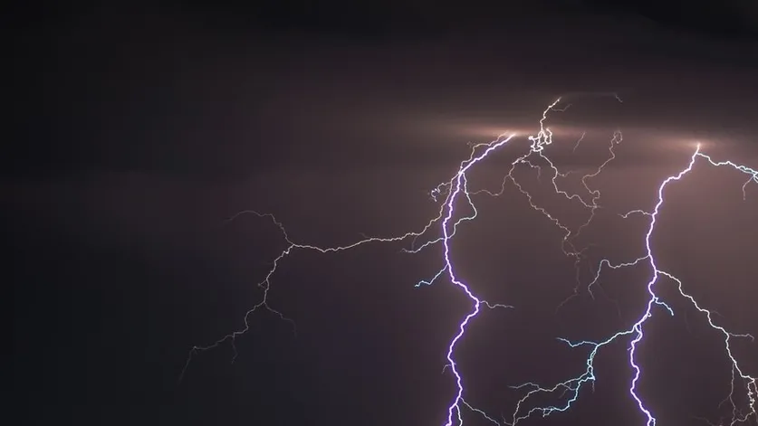 Фото: freepik.ru