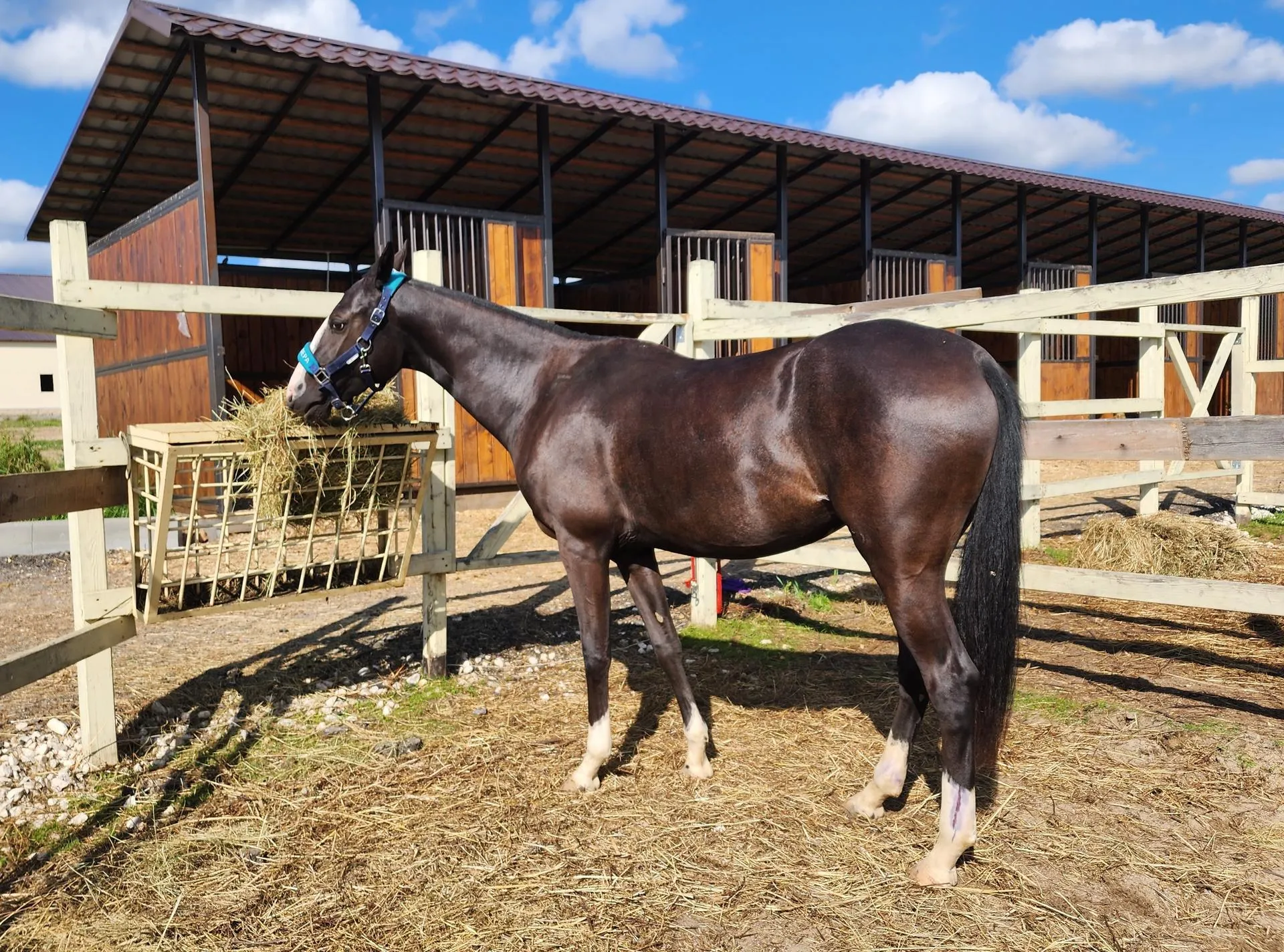 Фото: Андрей Семибратов