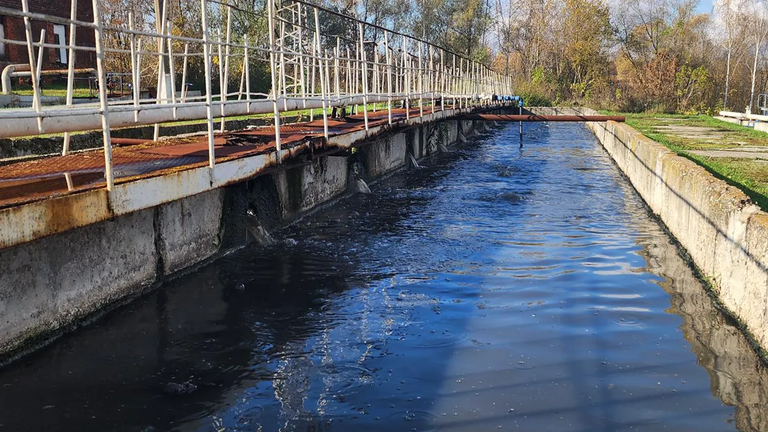 Фото: МедиаБанк Подмосковья/Станислав Орлов