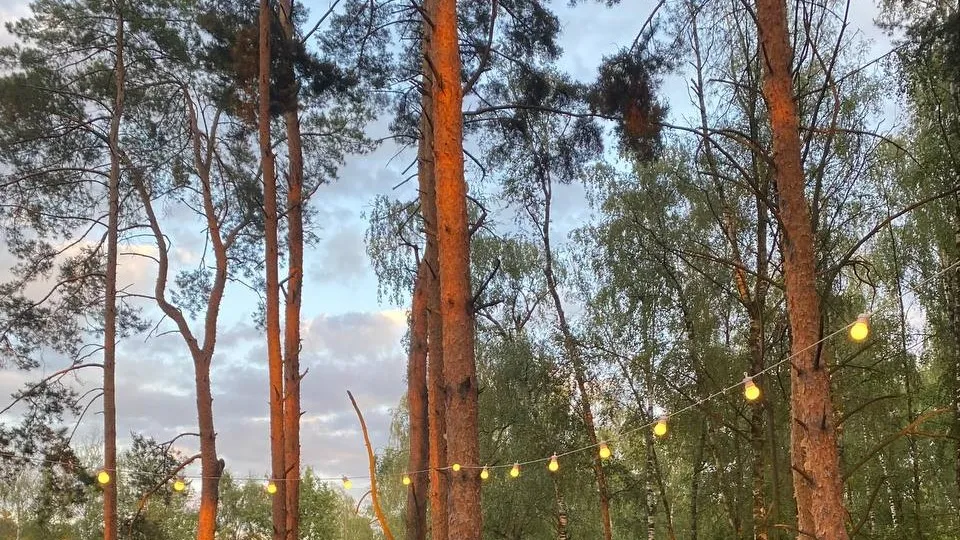 Фото: медиасток.рф