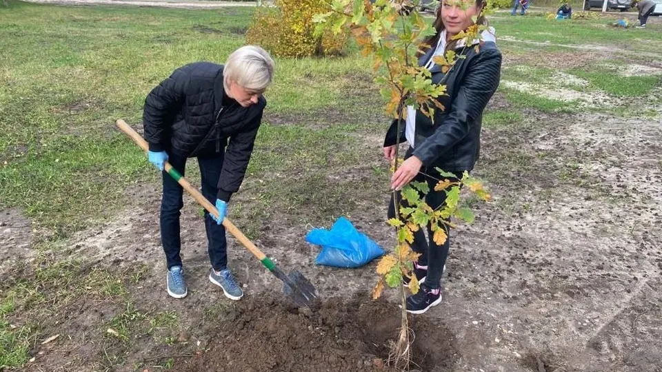 Фото: пресс-служба администрации Павлово-Посадского городского округа