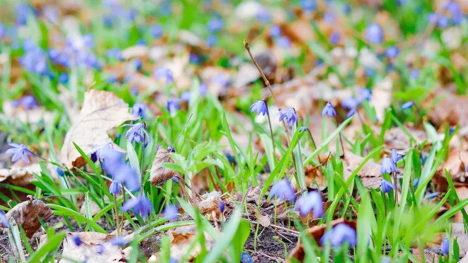 Фото: МедиаБанк Подмосковья/Данила Кирьянов