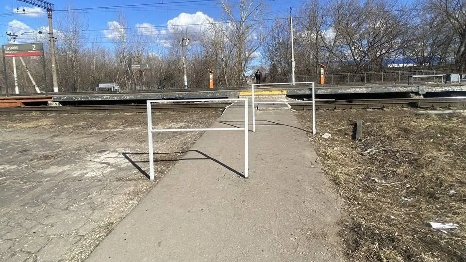 Фото: Минтранс Московской области
