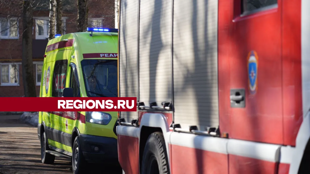 Фото: Дмитрий Зайчиков