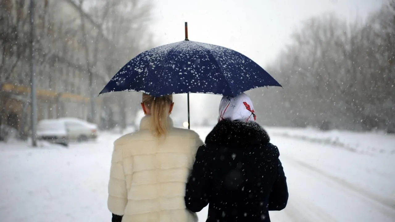 медиасток.рф