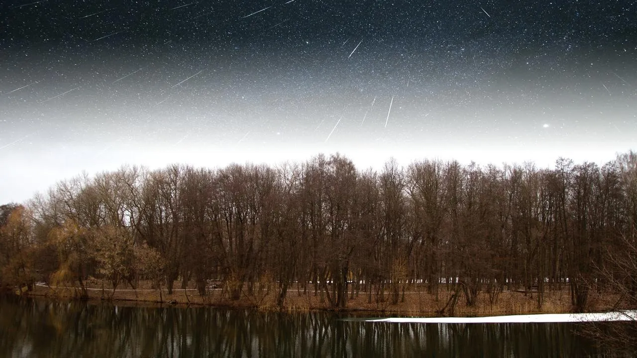 istockphoto.com/Lindrik