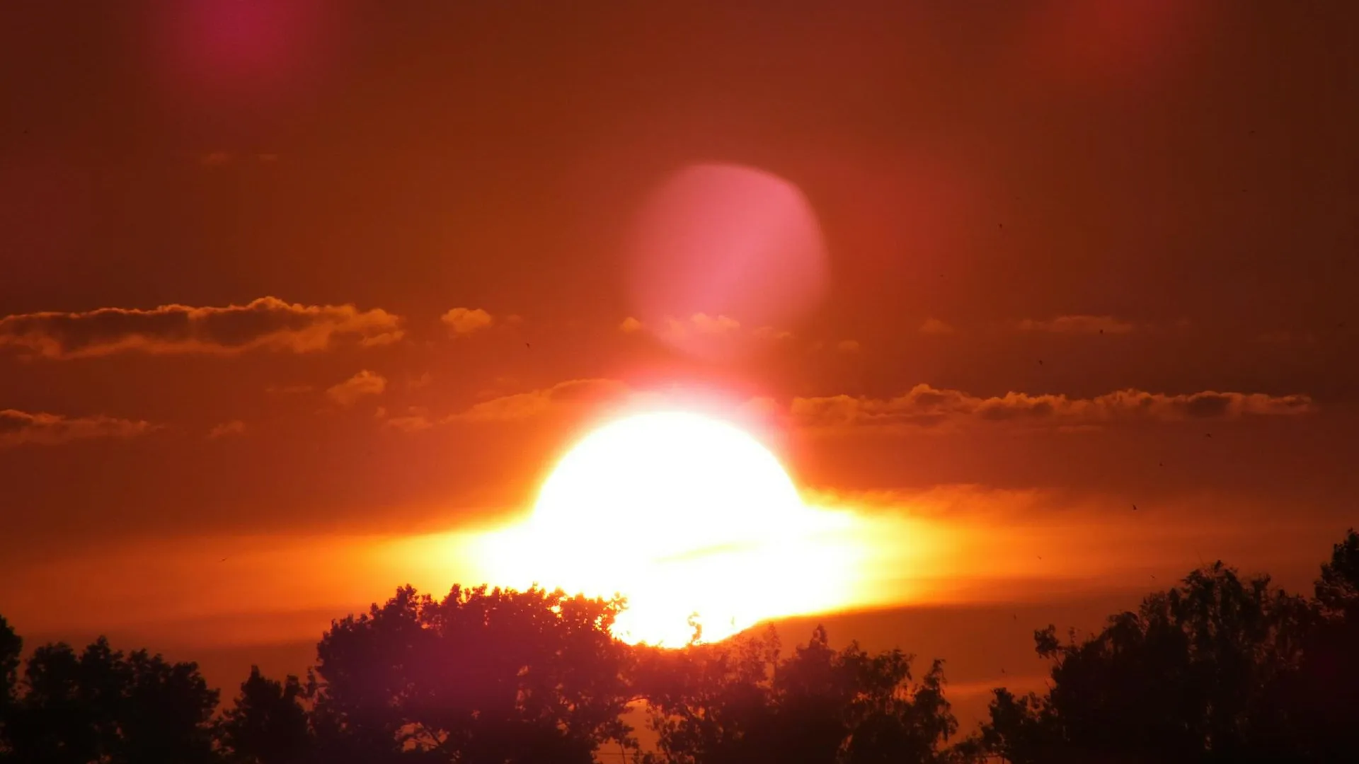 Victor Lisitsyn/Global Look Press