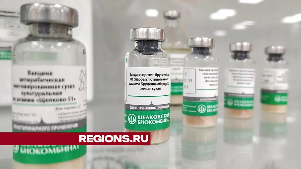 Фото: Валерия Тингаева