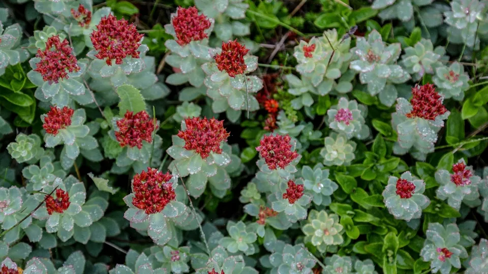Фото: РИА Новости/Павел Львов