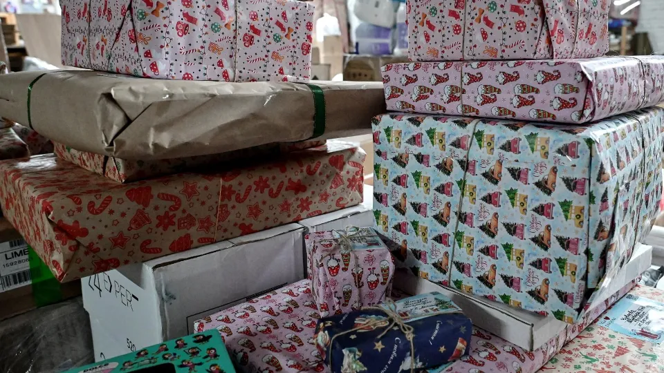 Фото: Министерство информации и молодежной политики МО