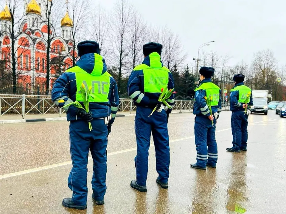 Фото: Госавтоинспекция Московской области
