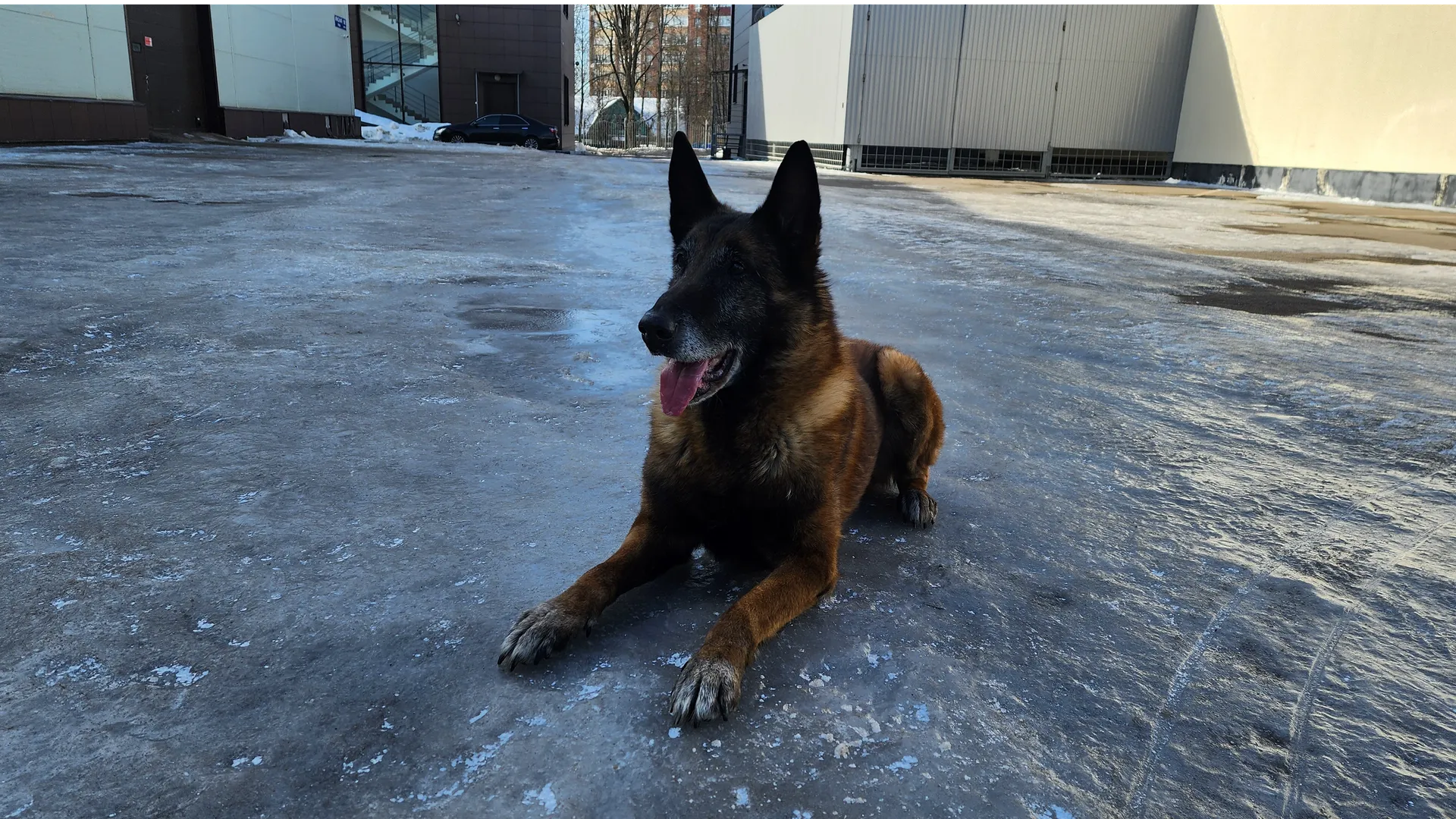 Валентина Максимова