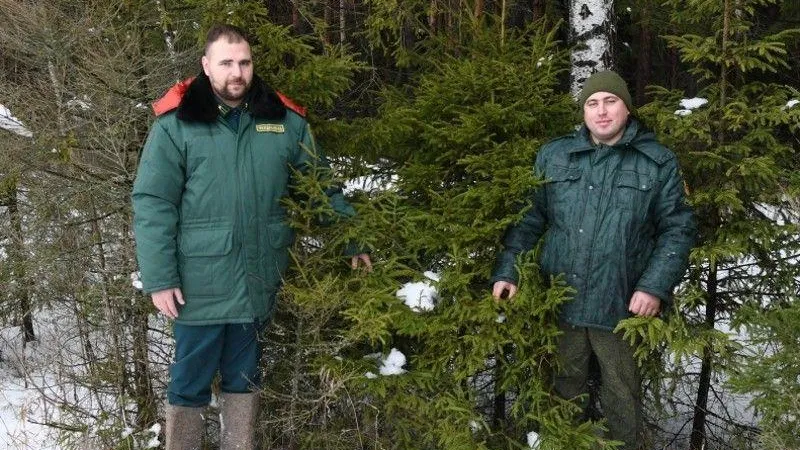 Охрану лесов усилили в преддверии праздников в Воскресенском округе