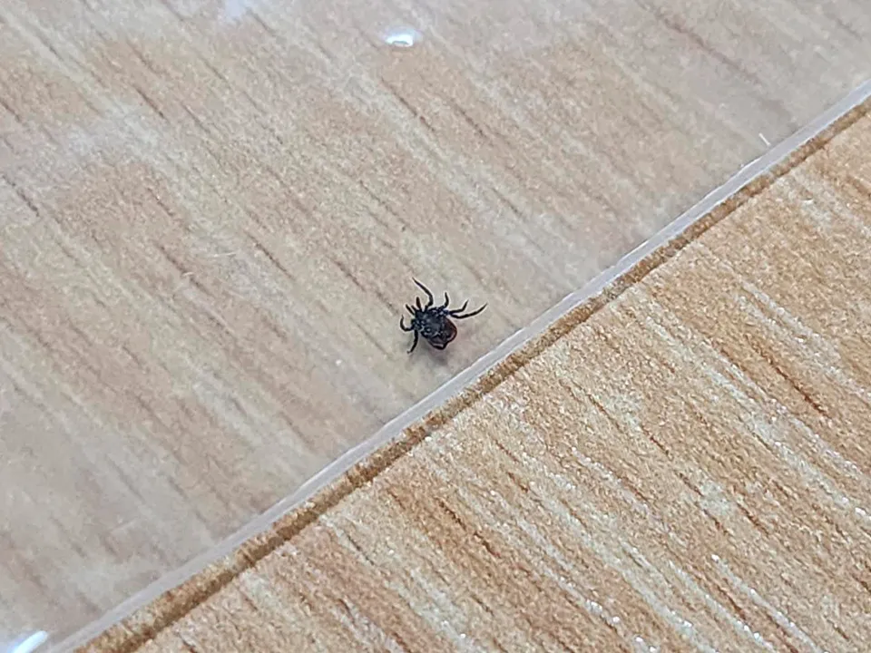 Фото: Валентина Максимова&nbsp;