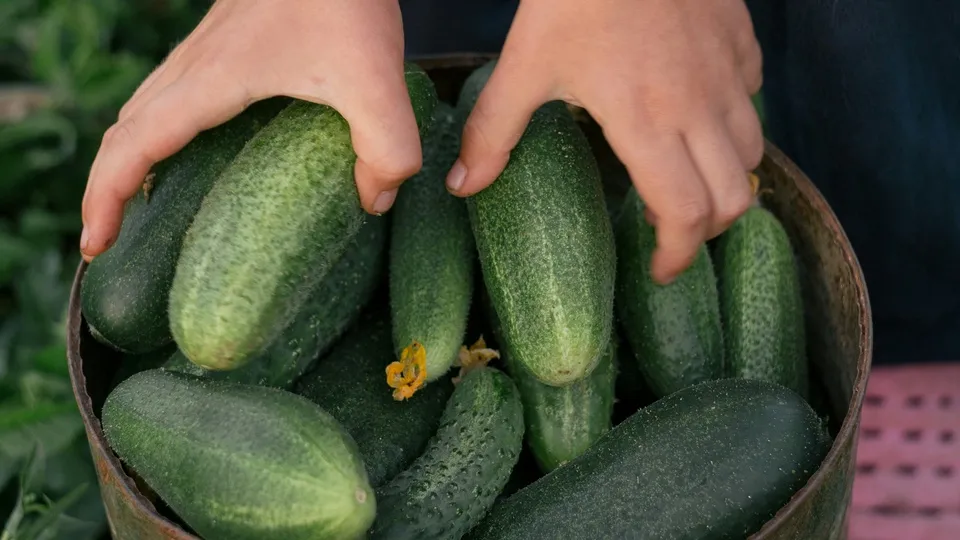 Фото: unsplash.com