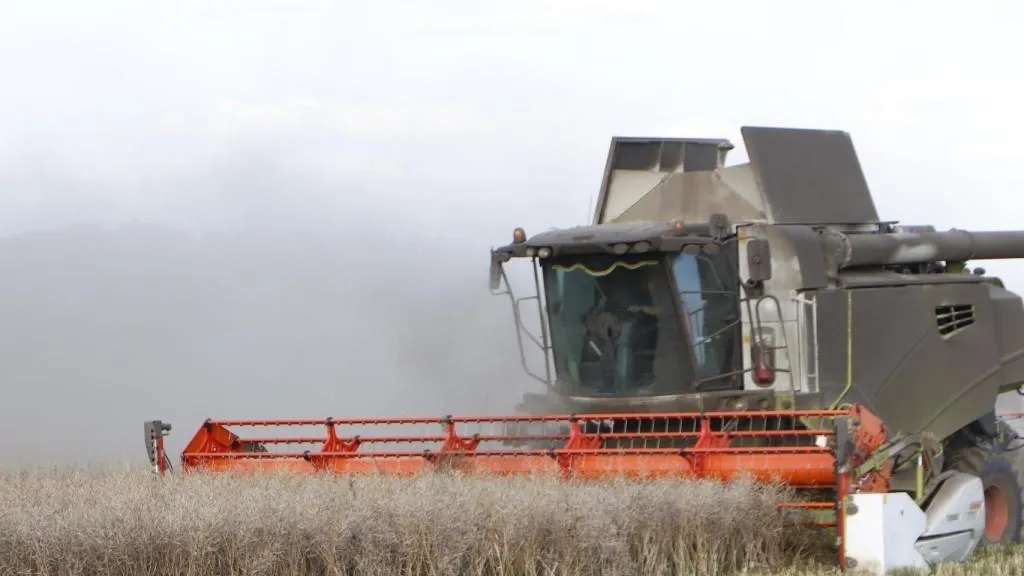 Татьяна Кострикина