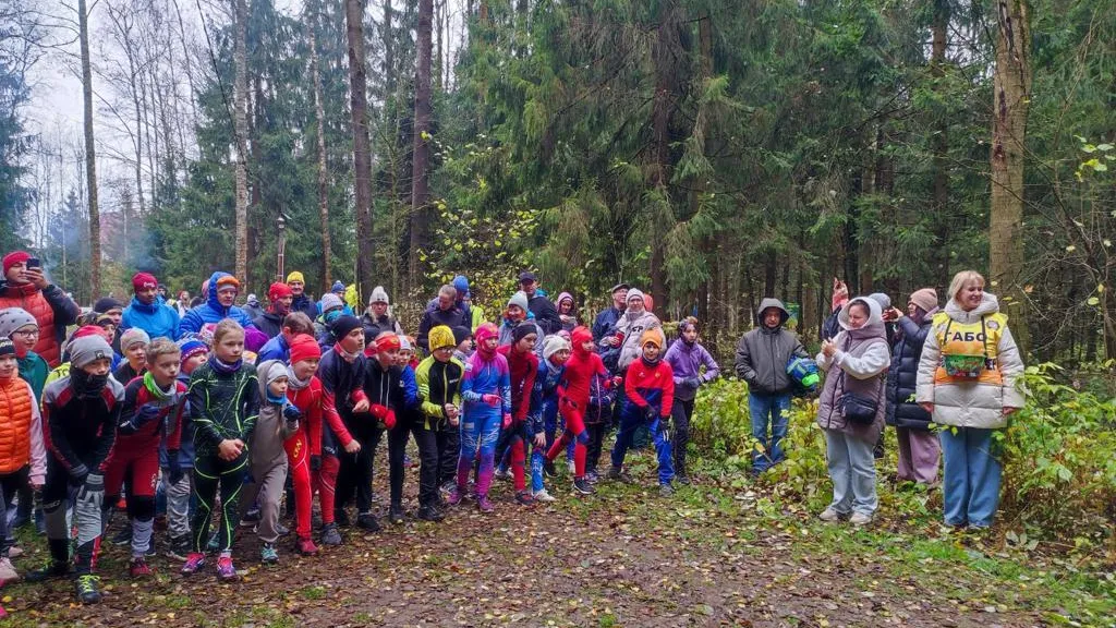 Комитет лесного хозяйства Московской области