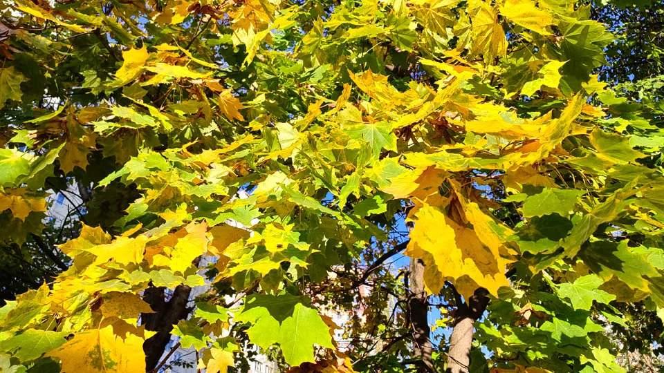 Фото: REGIONS/Дмитрий Кравцов