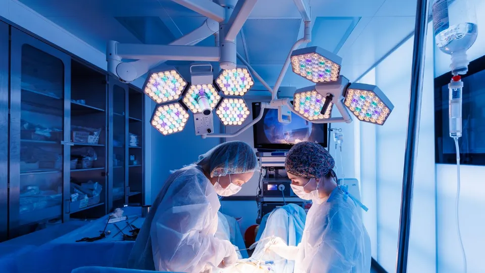 Фото: медиасток.рф