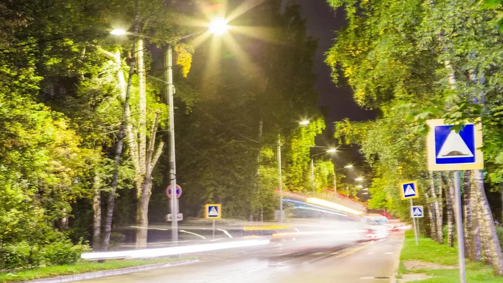 Фото: Министерство благоустройства Московской области