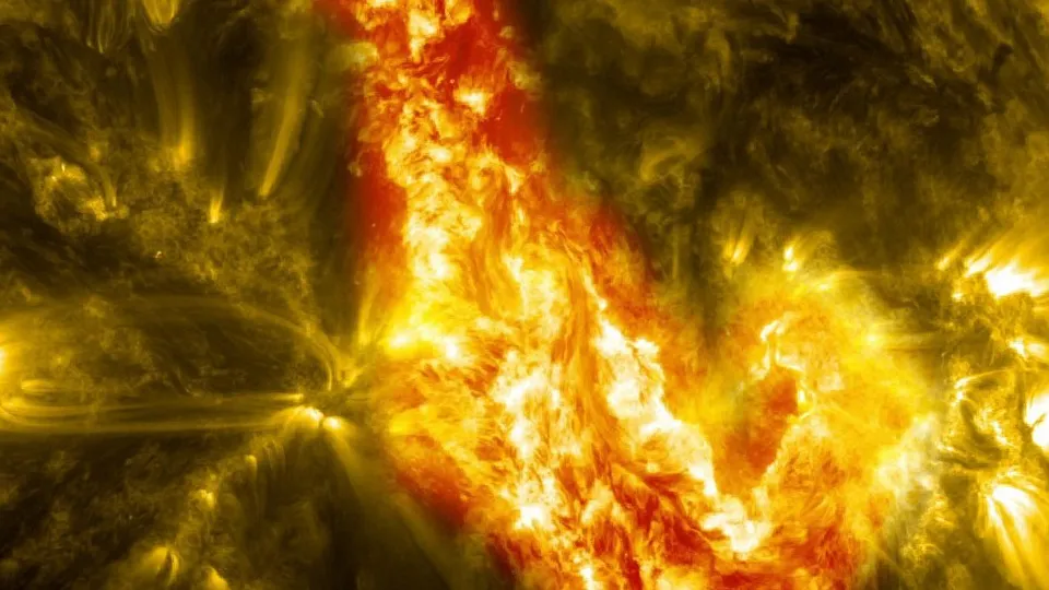 Фото: pxhere.com