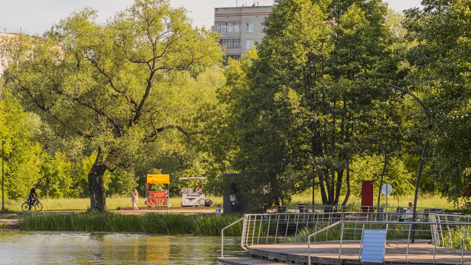 Фото: медиасток.рф