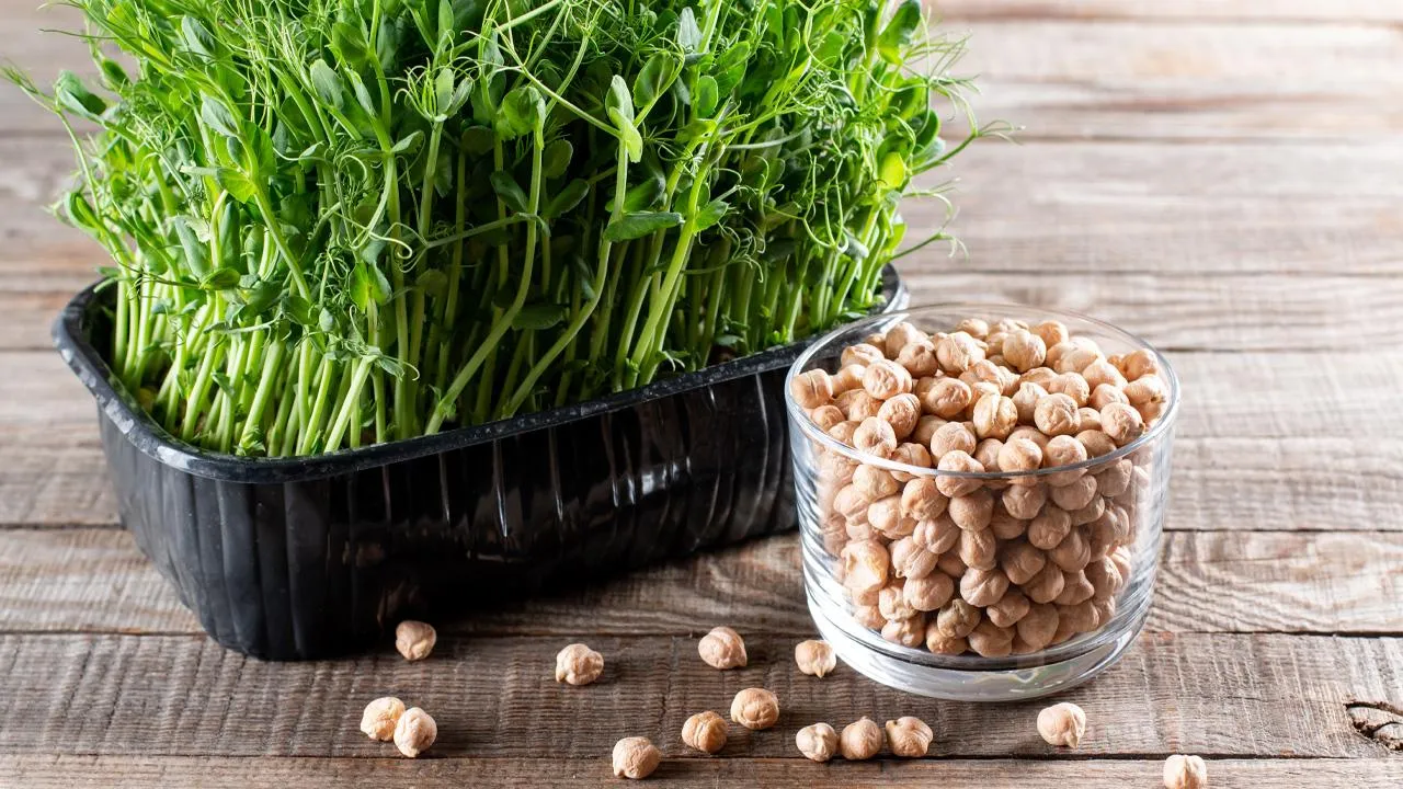 istockphoto.com/Qwart