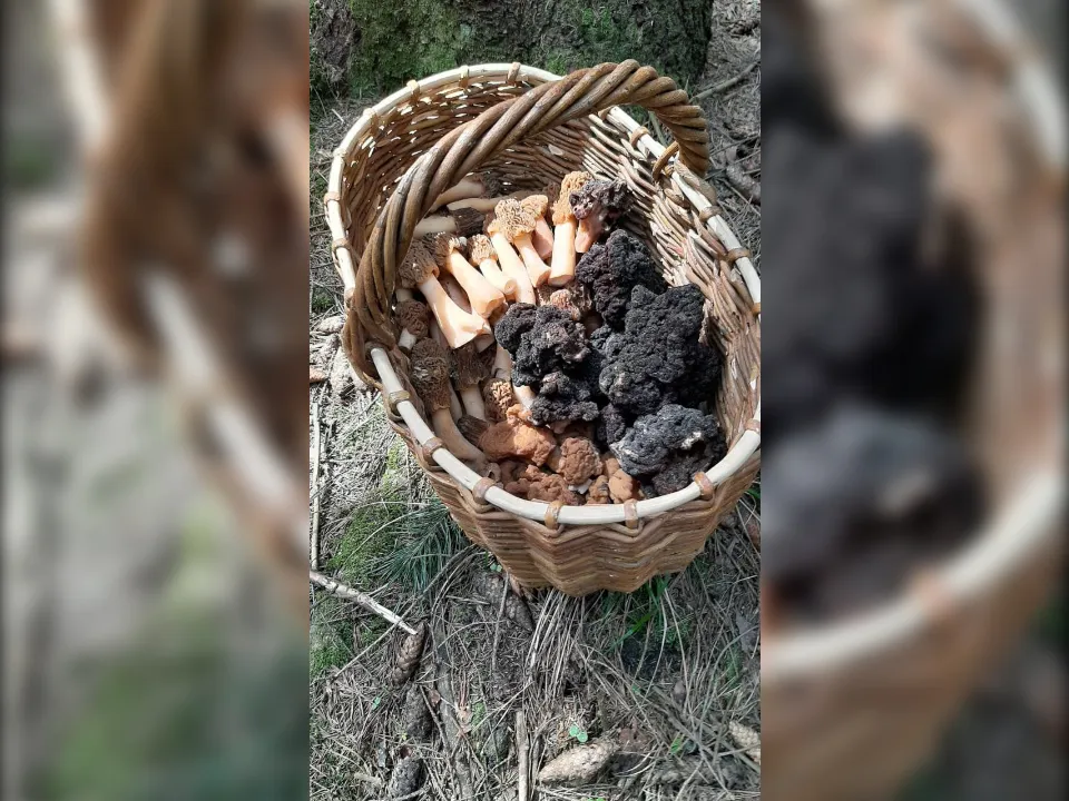 Фото: личный архив Антона Хазина