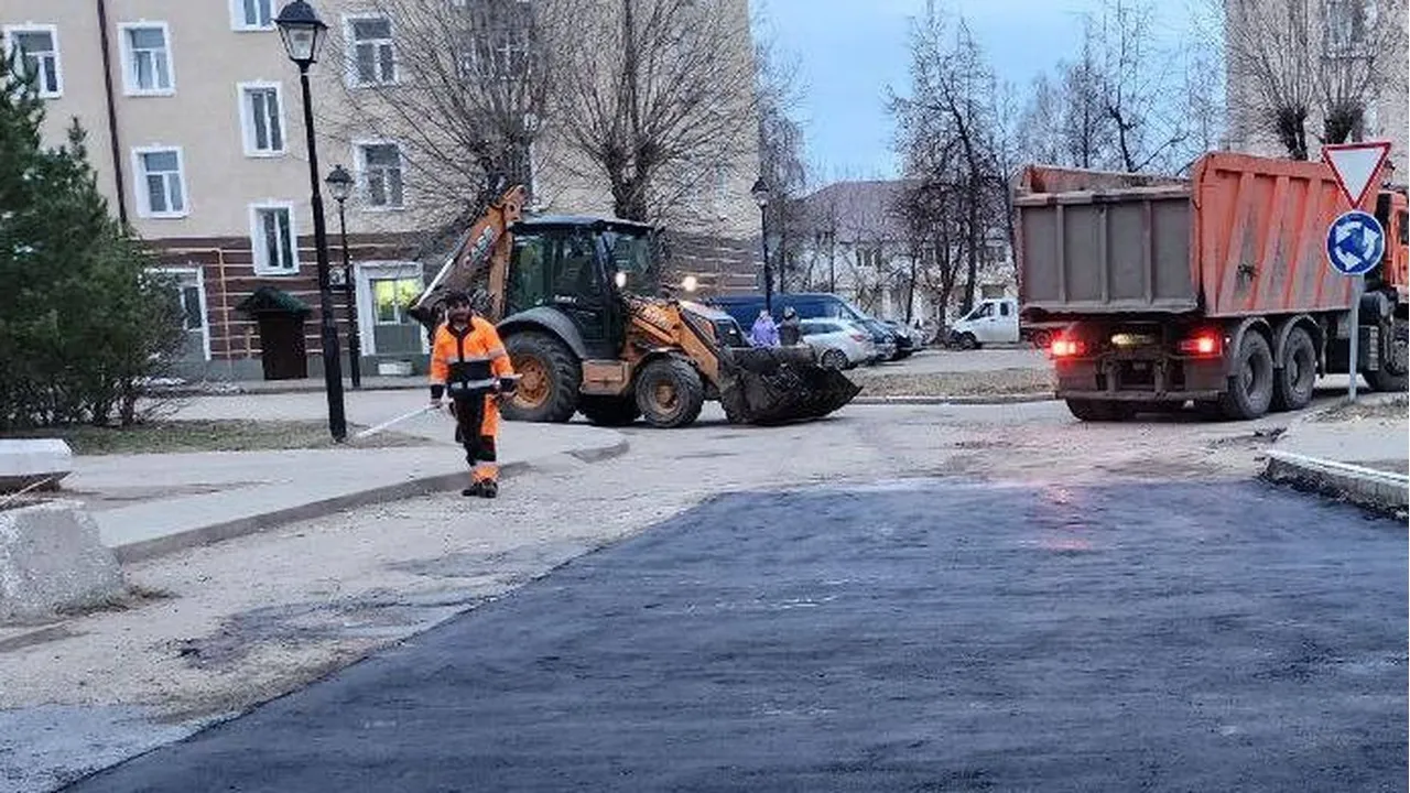 Фото: пресс-служба администрации г.о. Лосино-Петровский