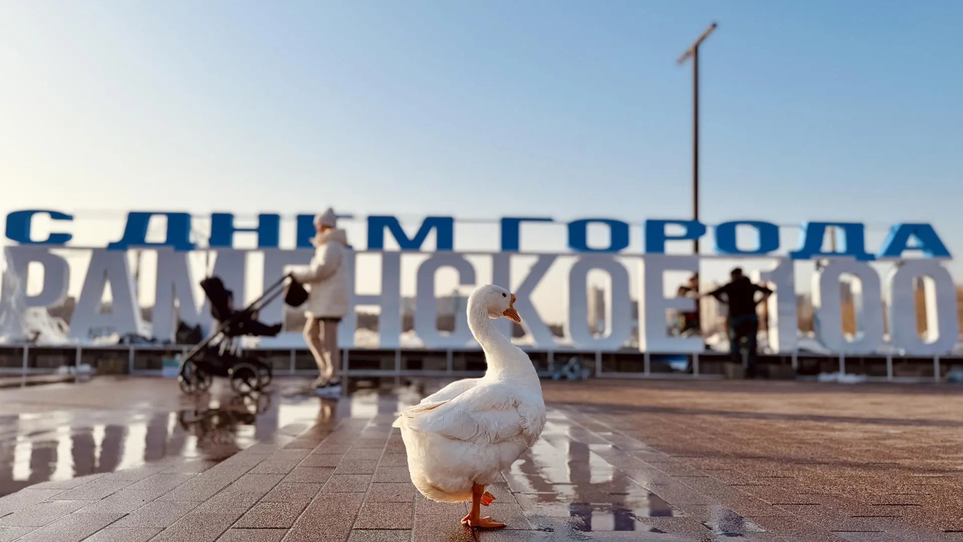 МедиаБанк Подмосковья/Ольга Стаферова