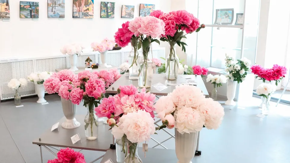 Фото: Коломенская картинная галерея «Дом Озерова»