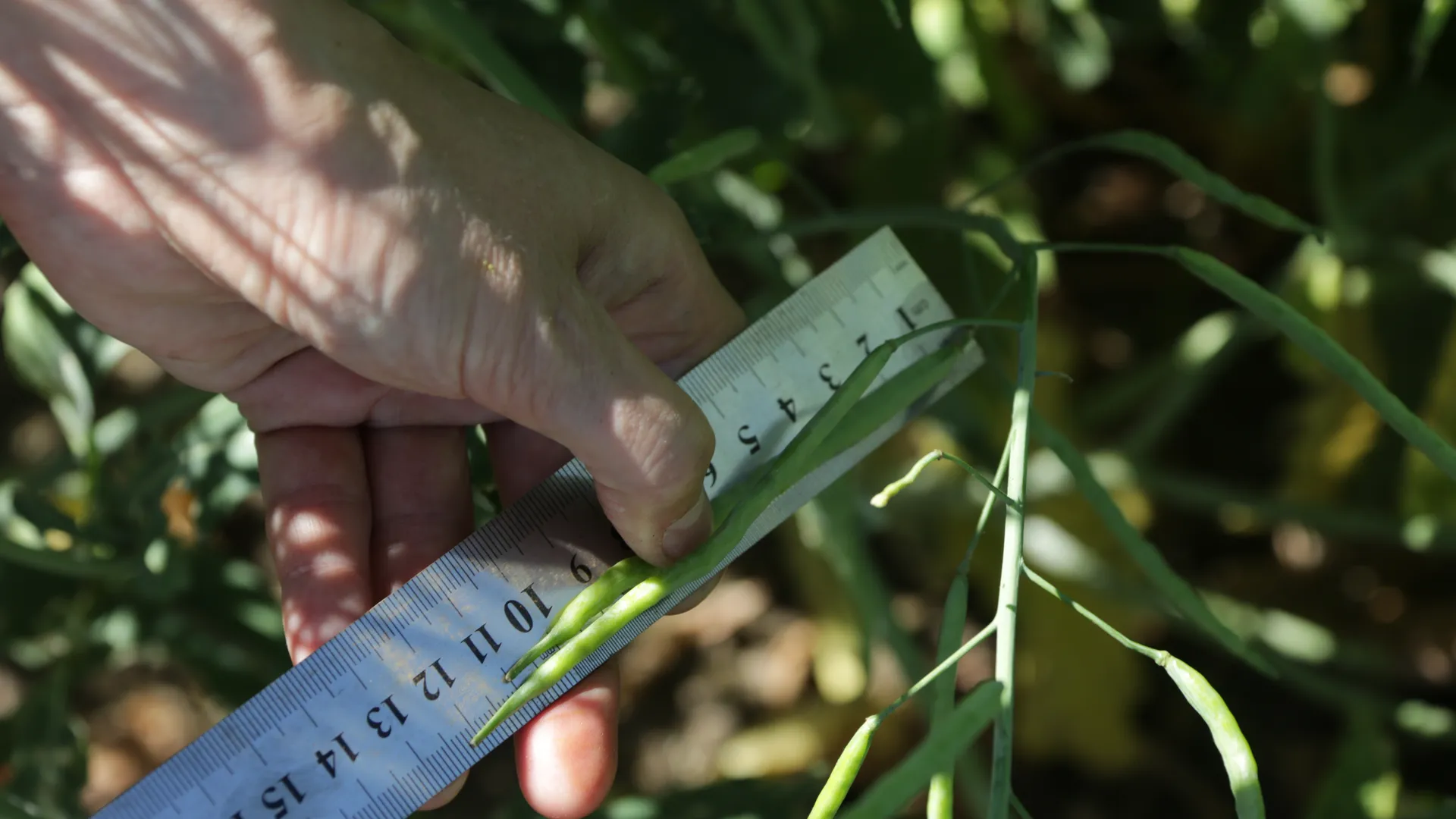 медиасток.рф