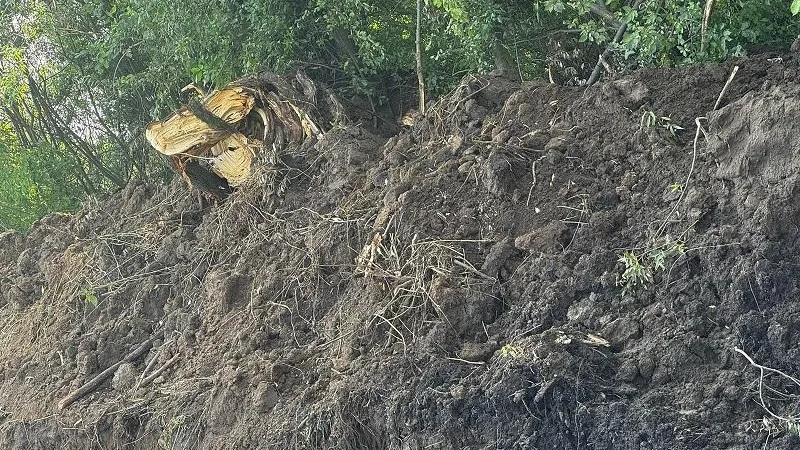 Фото: Минэкологии Московской области