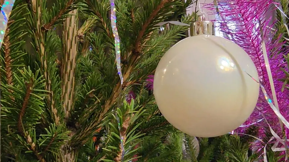 Фото: МедиаБанк Подмосковья/Марина Анисимова