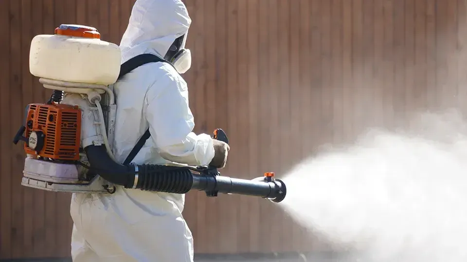 МедиаБанк Подмосковья/Алёна Притула