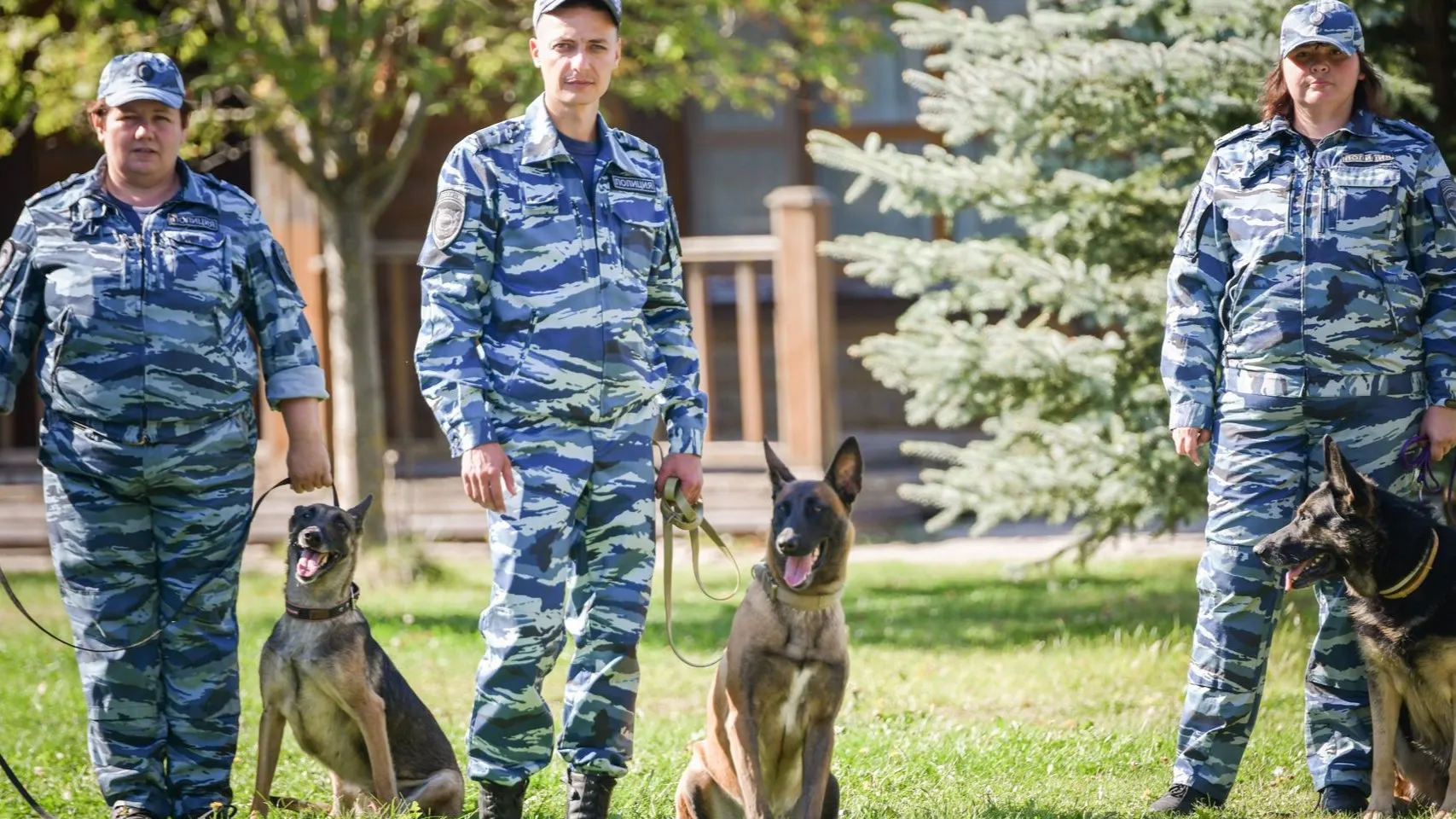 Фото: пресс-служба Администрации г.о. Дмитров