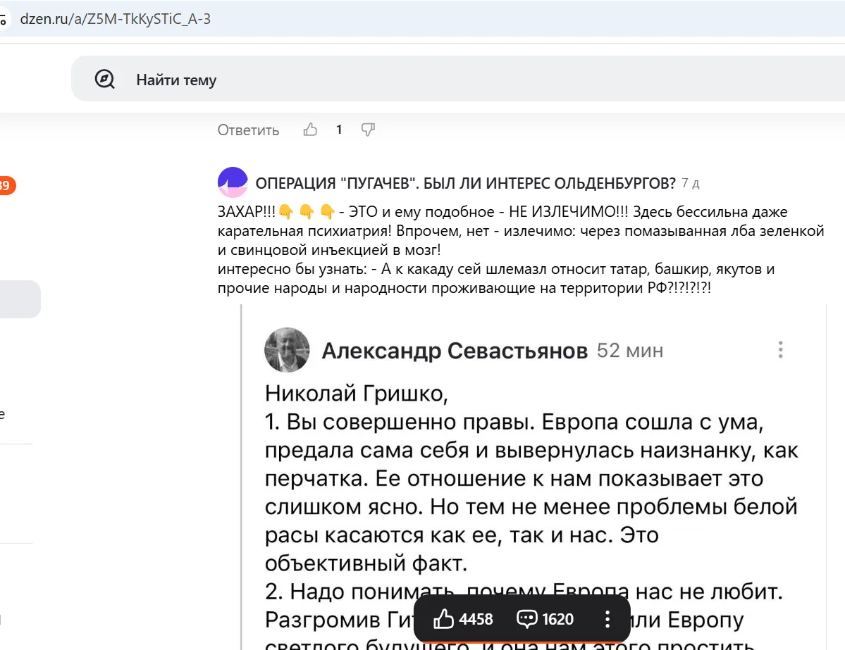 Комментарий на «Дзен»-канале Захара Прилепина. Скриншот