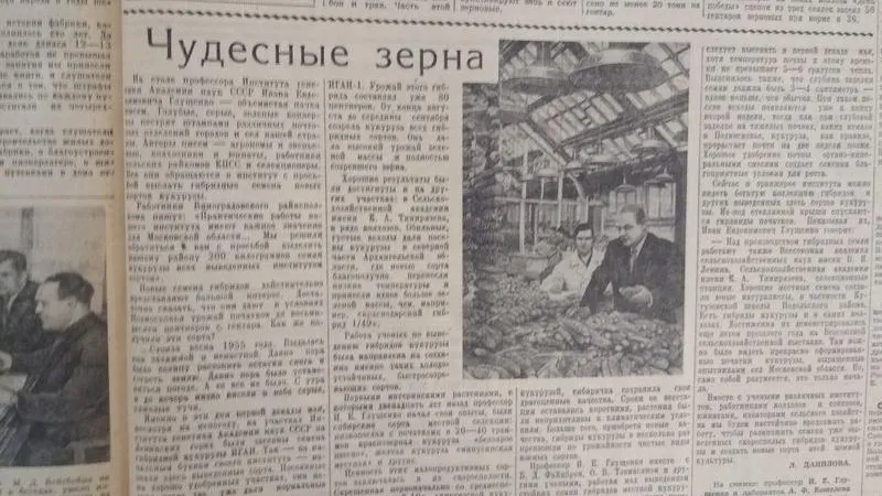 Восхождение на трон: о чем писала газета 28 апреля 1956 года