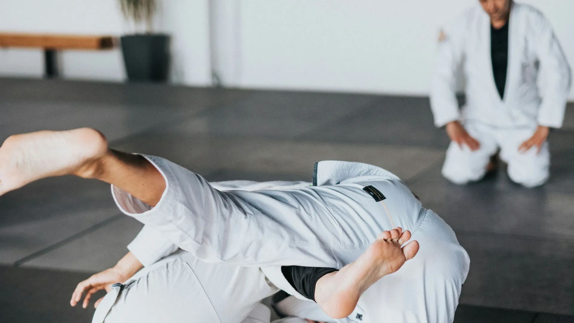 Фото: unsplash.com